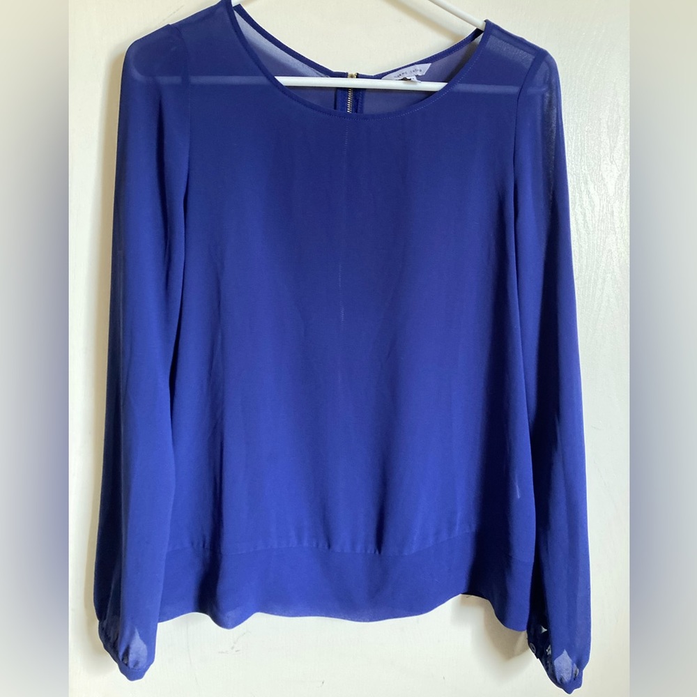 🌞Naked Zebra Sheer Royal Blue Zipper Back Long Sleeve Blouse #Gy